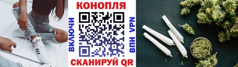 Канабис гибрид  Майкоп 